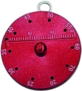 Endo Ruler with Cutter